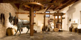 Bardolino olive oil museum